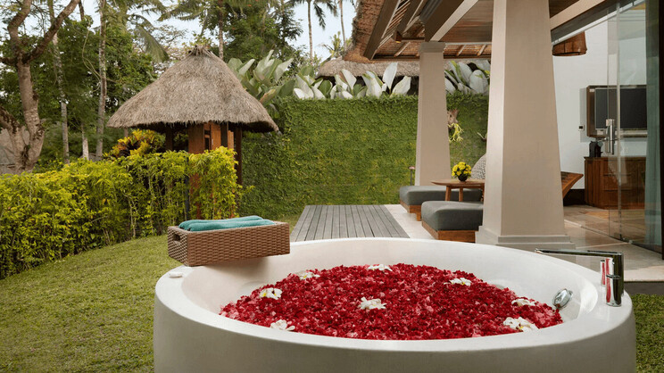 Heavenly Jacuzzi Suite 